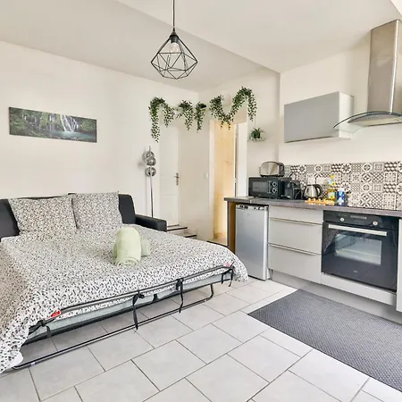 Apartamento Le Solencon De 1 A 4 Personne Hypercentre