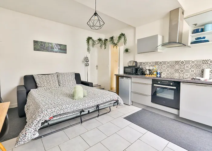 Apartamento Le Solencon De 1 A 4 Personne Hypercentre